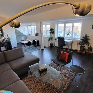 Suite Appartement